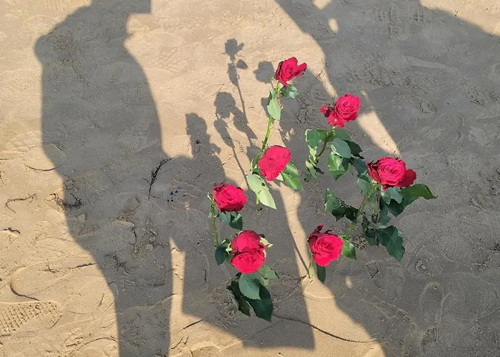 Au Coeur Du Dday Brevands